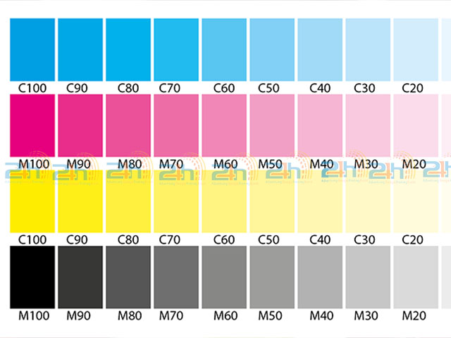 Dãy hệ 4 màu cơ bản với nhiều sắc thái khác nhau