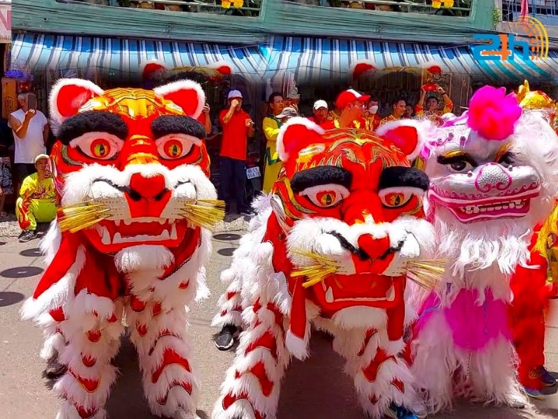 múa lân đầu sử tử chuyên nghiệp